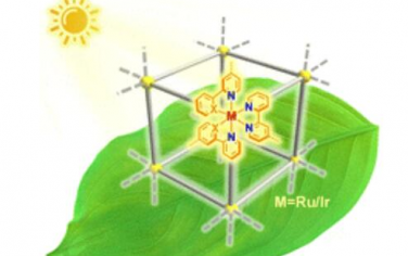Chem. Soc. Rev.：用于光催化的聚吡啶基Ru（II）或环金属化Ir（III）官能化结构