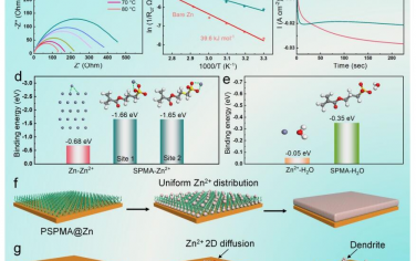 EES: 分子刷：一种用于快速Zn2+通量和沉积的离子再分配器