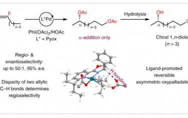 Nature Chemistry：内部烯烃的区域选择性和对映选择性远程加氧