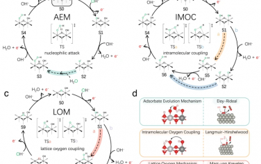 清华大学Nature Commun：电势变化有关的LDH产氧机理