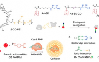 Acc. Chem. Res.：体内精确基因组编辑的CRISPR/Cas递送系统