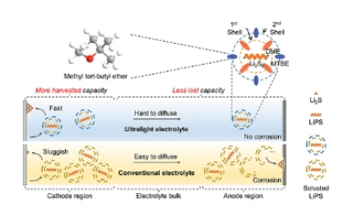 JACS：具有保护性封装溶剂化结构的超轻电解质可实现超过 660 Wh/kg 的混合硫基一次电池