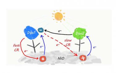 JACS：抑制染料敏化NiO光电极的电荷复合
