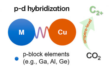 JACS：由 p嵌段金属掺杂 Cu 诱导的 p−d 轨道杂化促进安培级 CO2 电还原为 C2+ 产物