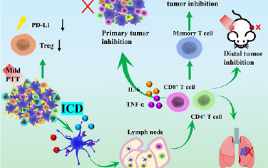ACS AMI：可敲低PD-L1、可以温和光热效应的脂质-聚合物杂化纳米颗粒用于光热-免疫治疗