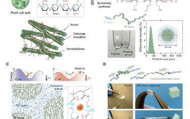 Science Advances：用于温度和长波红外传感的柔性仿生嵌段共聚物复合材料