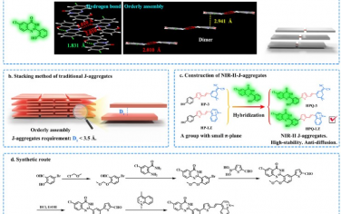 Nature Communications：原位自组装NIR-II-J-聚集体实现体内成像和手术导航
