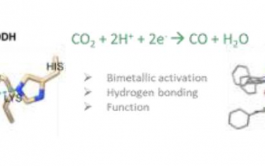 Angew: 双金属协同作用和氢键作用实现CO2高效还原