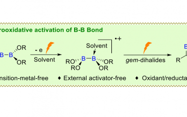 Angew：电化学活化B-B转化偕二溴化合物