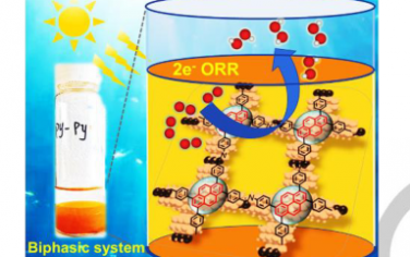 Angew：用于光催化过氧化氢生产的芘基共价有机骨架