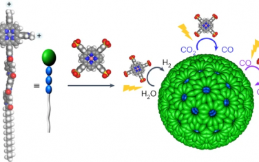 Nature Catalysis：人工球形色团纳米胶束选择性还原水中CO2