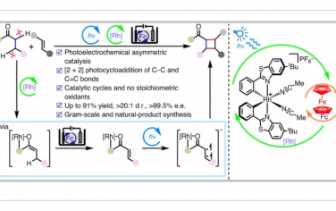 Nature Catalysis：通过激活两个C（sp3）–H键实现光电化学不对称脱氢[2 + 2]环加成