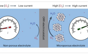 Nature Catalysis: 微孔水中氧还原反应活性增强