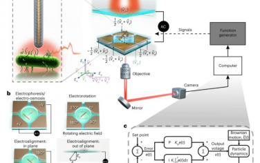 Nature Nanotechnology：纳米线生物探针在溶液中的精确电动定位和三维定向控制