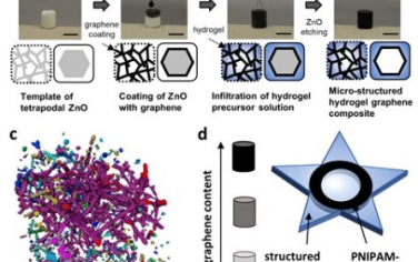 Advanced Materials：微管石墨烯网络可克服水凝胶中水扩散限制以实现软致动器