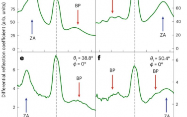Nature Physics：二维材料中玻色子峰的观测