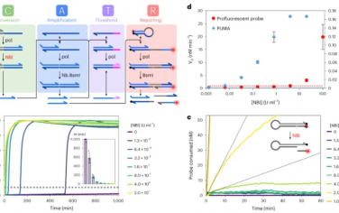 Nature Nanotechnology：可编程分子电路与液滴微流体相结合的单酶功能分析