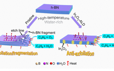 JACS：耐高温水热的h-BN-In2O3丙烷氧化脱氢