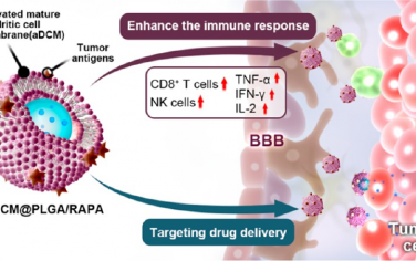 ACS Nano：利用肿瘤抗原激活、树突状细胞膜包被的仿生纳米颗粒增强治疗胶质瘤的效果