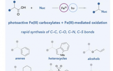 Chem: 铁介导的模块化脱羧交叉亲核试剂偶联