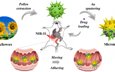 ACS Nano：NIR-II驱动的花粉微型马达用于治疗炎症性肠病