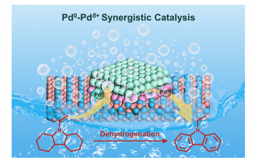 北京化工大学ACS Catal：Pd0-Pdδ+协同催化有机分子脱氢