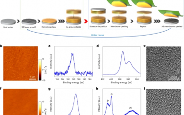 Nature Nanotechnology：通过基于2D材料的层转移工艺从单个晶片高通量制造外延膜