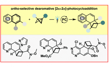 JACS：邻位选择性脱芳[2π+2σ]光环加成