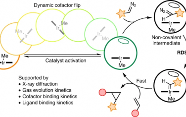 Nature Catalysis：含Ir叶绿素的催化反应机理