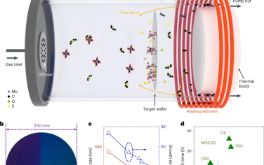 Nature Nanotechnology：在200 mm的平台上以低热预算合成用于硅后端线集成的单层二硫化钼