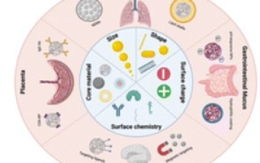Chemical Society Reviews：基于器官屏障调节纳米材料相互作用以强化药物输运