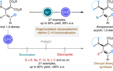 南方科技大学Nature Catalysis：有机催化烯烃C-H官能团化
