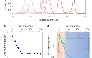 Nature Nanotechnology：黑磷光致发光量子产率的反常厚度依赖性