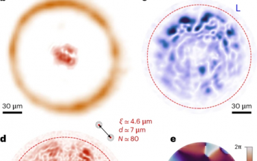 Nature Photonics：耗散量子流体中涡旋团簇和反能量级联的触发