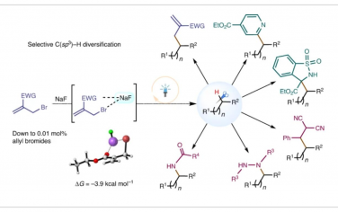 Nature Synthesis: 烯丙基溴和氟化钠使强C（sp3）–H键的光化学多样化