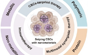 ACS Nano综述：利用纳米材料“狙击”癌症干细胞