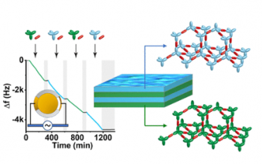 JACS：基于碳-碳键的层状3D共价有机框架薄膜