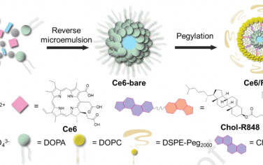 Biomaterials：纳米级配位聚合物可协同PDT和Toll样受体激活以增强抗原呈递和抗肿瘤免疫