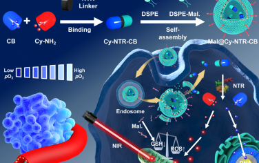 Biomaterials：同步激活治疗性纳米制剂以对乏氧诱导的化疗进行增强和反馈