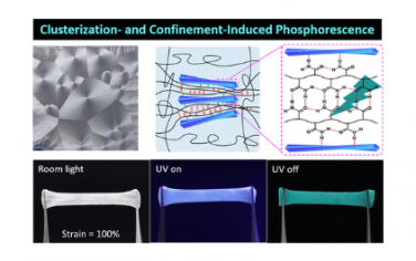 JACS：聚合诱导掺杂分子晶化：水凝胶室温磷光的有效策略