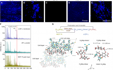 Science Advances：MOF膜中的热驱动分子守门员实现创纪录的高H2选择性