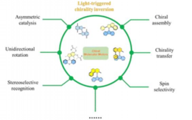 Chem. Soc. Rev.：通过本质手性光驱动分子马达启发分子系统中的动态功能