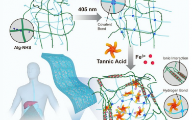 Biomaterials：具有超强力学性质的止血贴