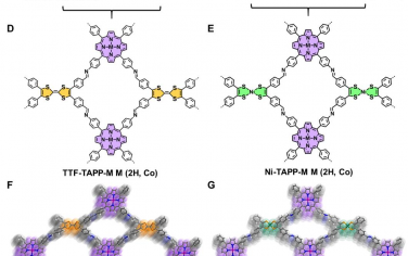 Sci. Adv.: 具有镍-双（二硫基）和钴-卟啉单元的共价有机框架作为Li-O2电池的双功能催化剂