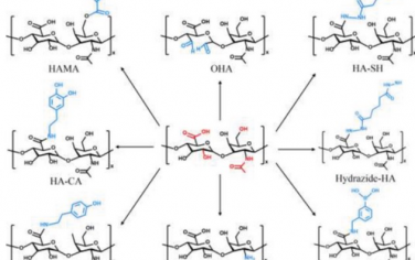 AFM综述： 透明质酸水凝胶的生物医学应用