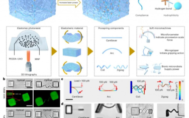 Nature Nanotechnology：3D纳米制造的软微型机器人具有作为板载传感器和致动器的超柔顺皮力弹簧