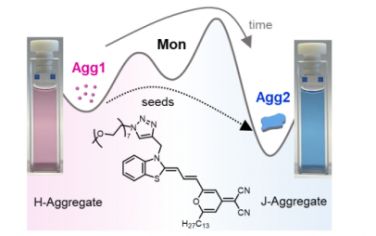 Angew：通过活性超分子聚合生长部花青染料 J-聚集体纳米片