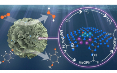 JACS：剪切应力触发超薄纳米片氮化碳组装用于光催化 H2O2 生产并结合选择性乙醇氧化
