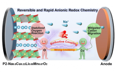 JACS：还原偶联机理提高钠离子氧化物阴极中阴离子氧化还原化学的可逆性和动力学