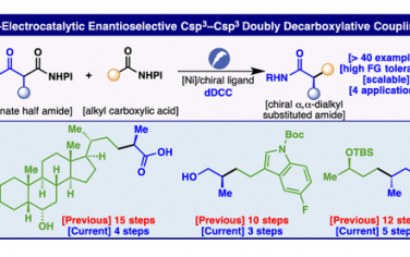 JACS：Ni+电立体选择性脱羧C(sp3)-C(sp3)偶联
